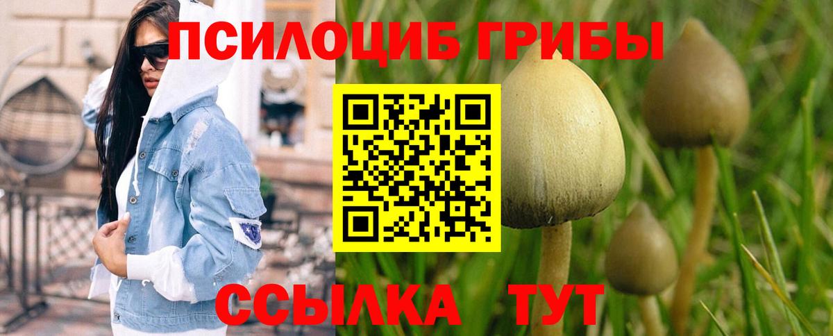 Галлюциногенные грибы Magic Shrooms Воркута